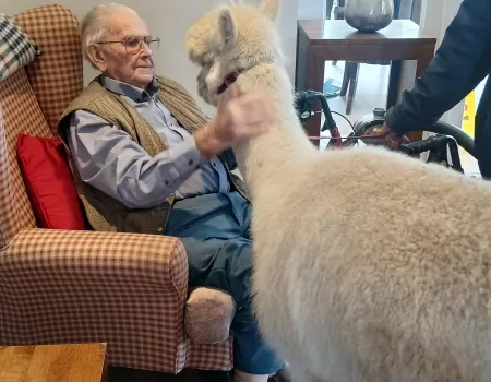 Alpaca visit 