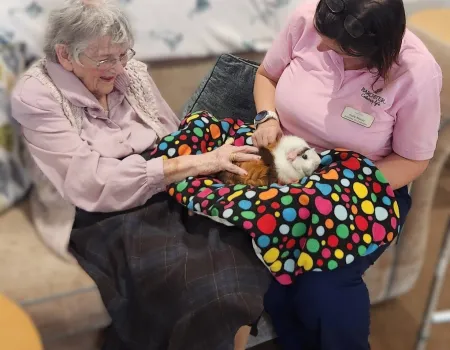 Animal Therapy