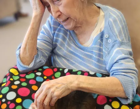 Animal Therapy