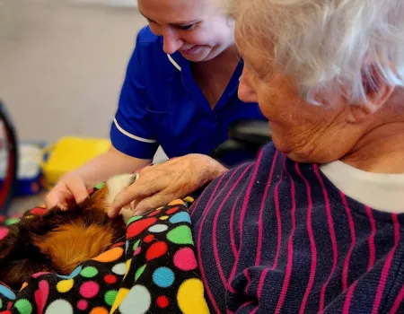 Animal Therapy
