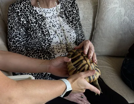 Animal Visit