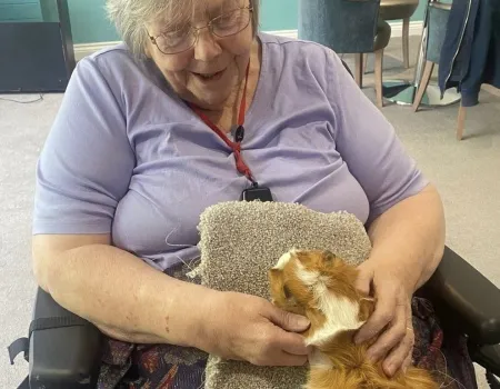Fiona's Farm Therapy 