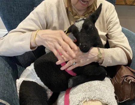 Fiona's Farm Therapy 