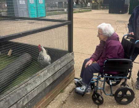 Easter Visit To Standalone Farm
