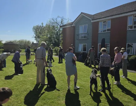 Dog Show 