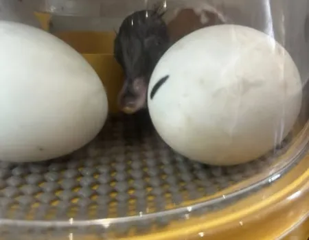 OUR NEW RESIDENTS!