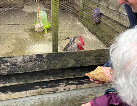 Easter Visit To Standalone Farm