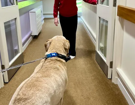 Therapy dog visit 