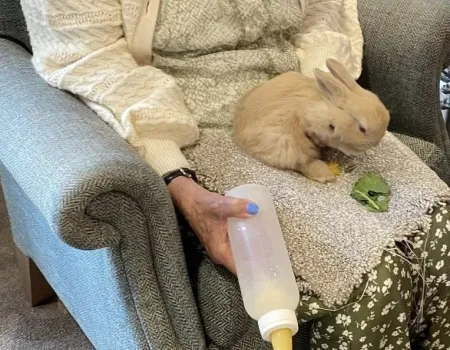 Fiona's Farm Therapy 