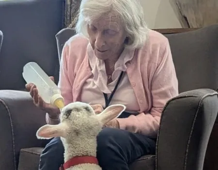 Special Visitors 
