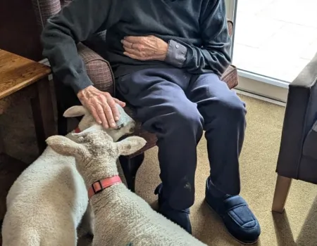 Special Visitors 