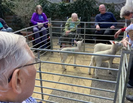 A joyful visit from some woolly guests