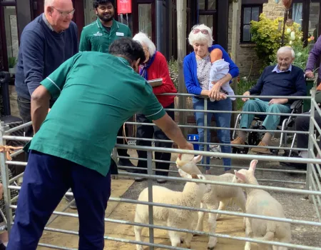 A joyful visit from some woolly guests
