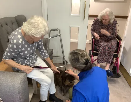 A Paws-itively Wonderful First Visit!