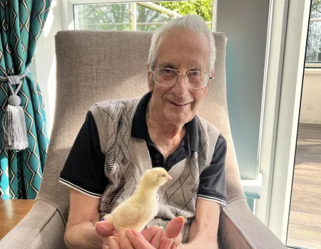 Chicks at Cookridge Court