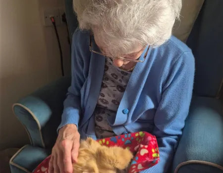 Animal therapy 