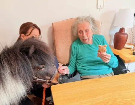 Diamond Pony Parties