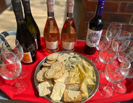 Wine tasting in the garden
