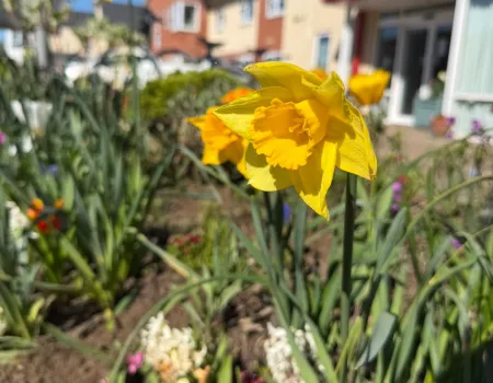 Enjoying the spring sunshine
