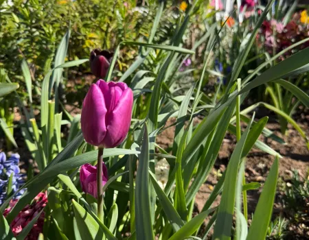 Enjoying the spring sunshine