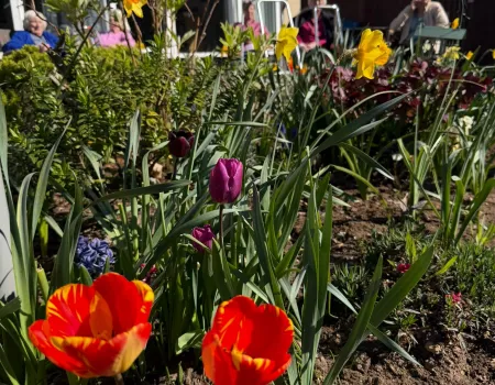 Enjoying the spring sunshine
