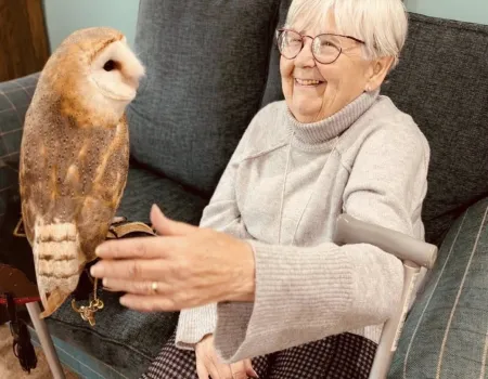 Owl visit!