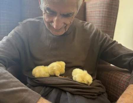 Cheeky, cheeky chicks! 
