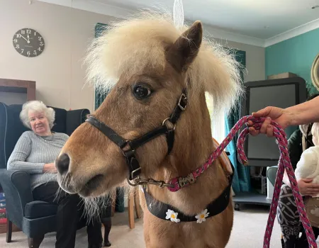 A Heart-warming Easter Visit from Ellie & Damson at Cherry Trees