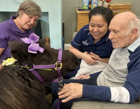 Mini horses visit! 