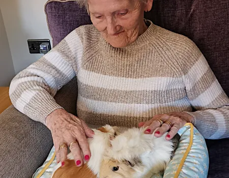 Animal therapy 