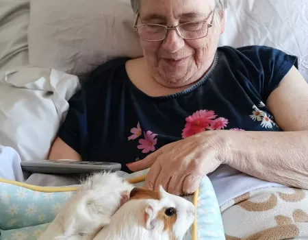 Animal therapy 