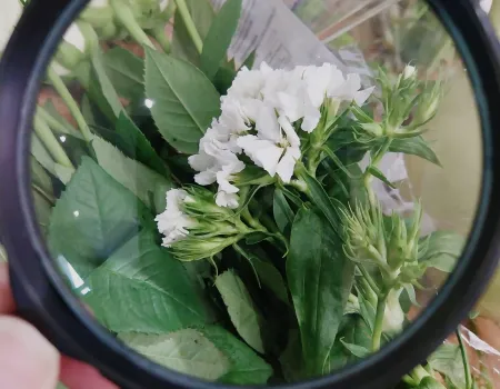 Flower arranging