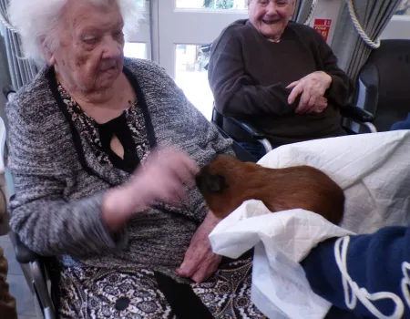Animal therapy 