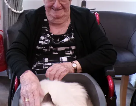 Animal therapy 