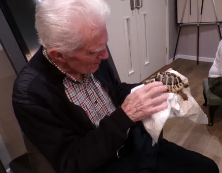 Animal therapy 