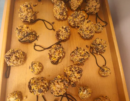 Bird feeder making