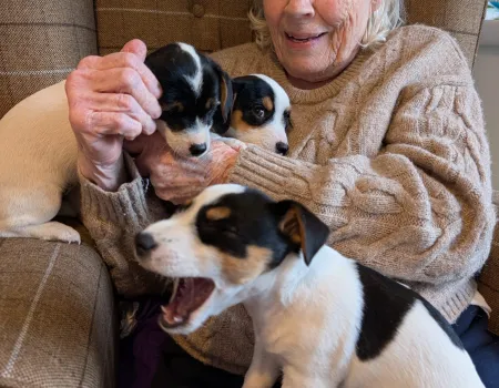 Animal Therapy at Milford House