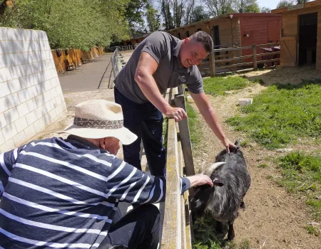 A wholesome day out to Island Farm Donkey Sanctuary 
