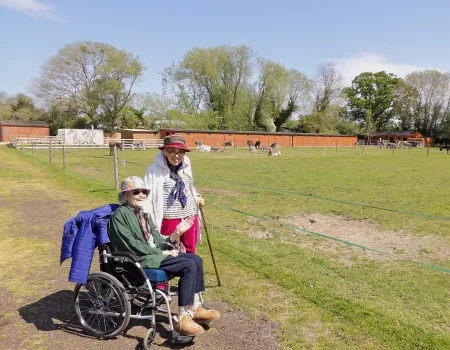 A wholesome day out to Island Farm Donkey Sanctuary 