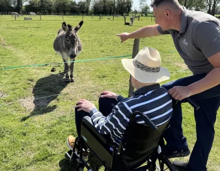 A wholesome day out to Island Farm Donkey Sanctuary 