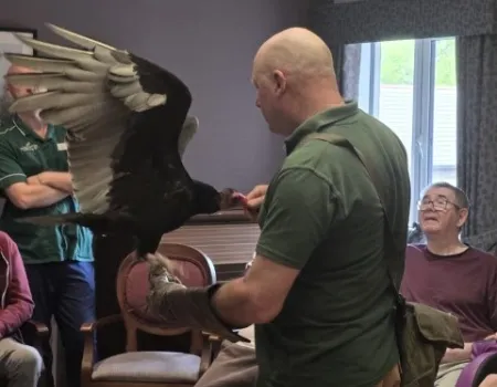 Birds of Prey 