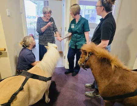 Therapy Ponies Visit Mount Tryon 