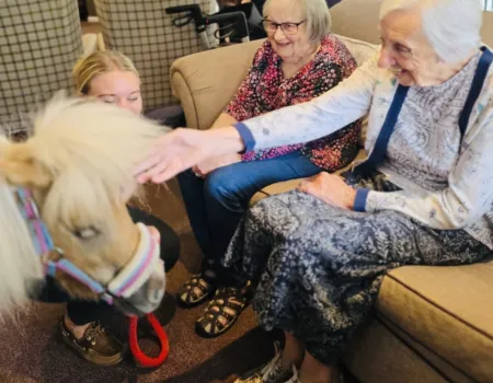 Therapy Ponies Visit Mount Tryon 