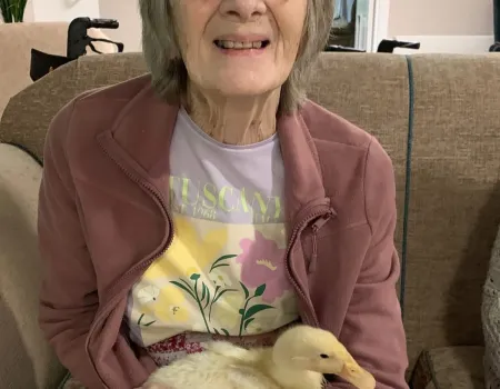 Ducklings visit Winchester House  