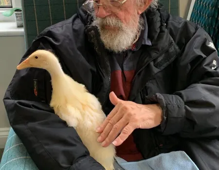 Ducklings visit Winchester House  