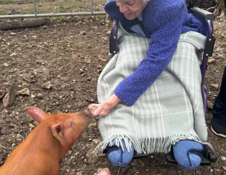 A wish come true 