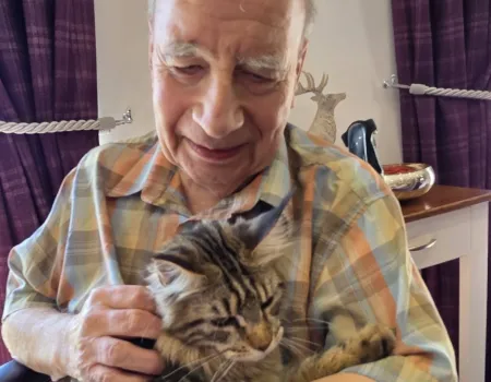 Maincoon Magic 