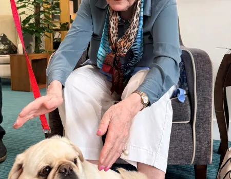 Pet therapy