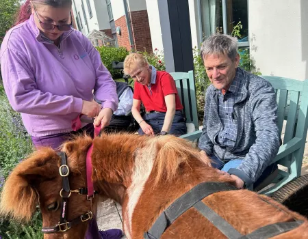 Pet a Pony