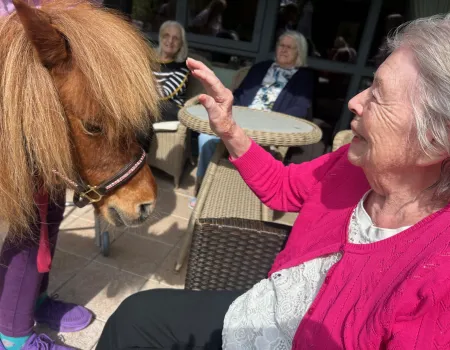 Pet a Pony